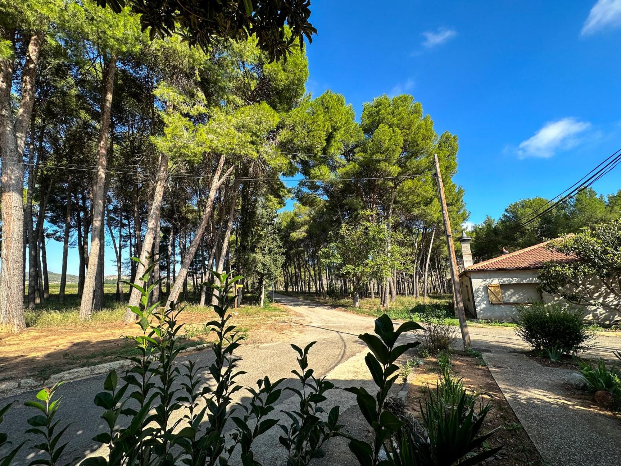 Casa Rural Los Pinos Valmuel Eksteriør billede