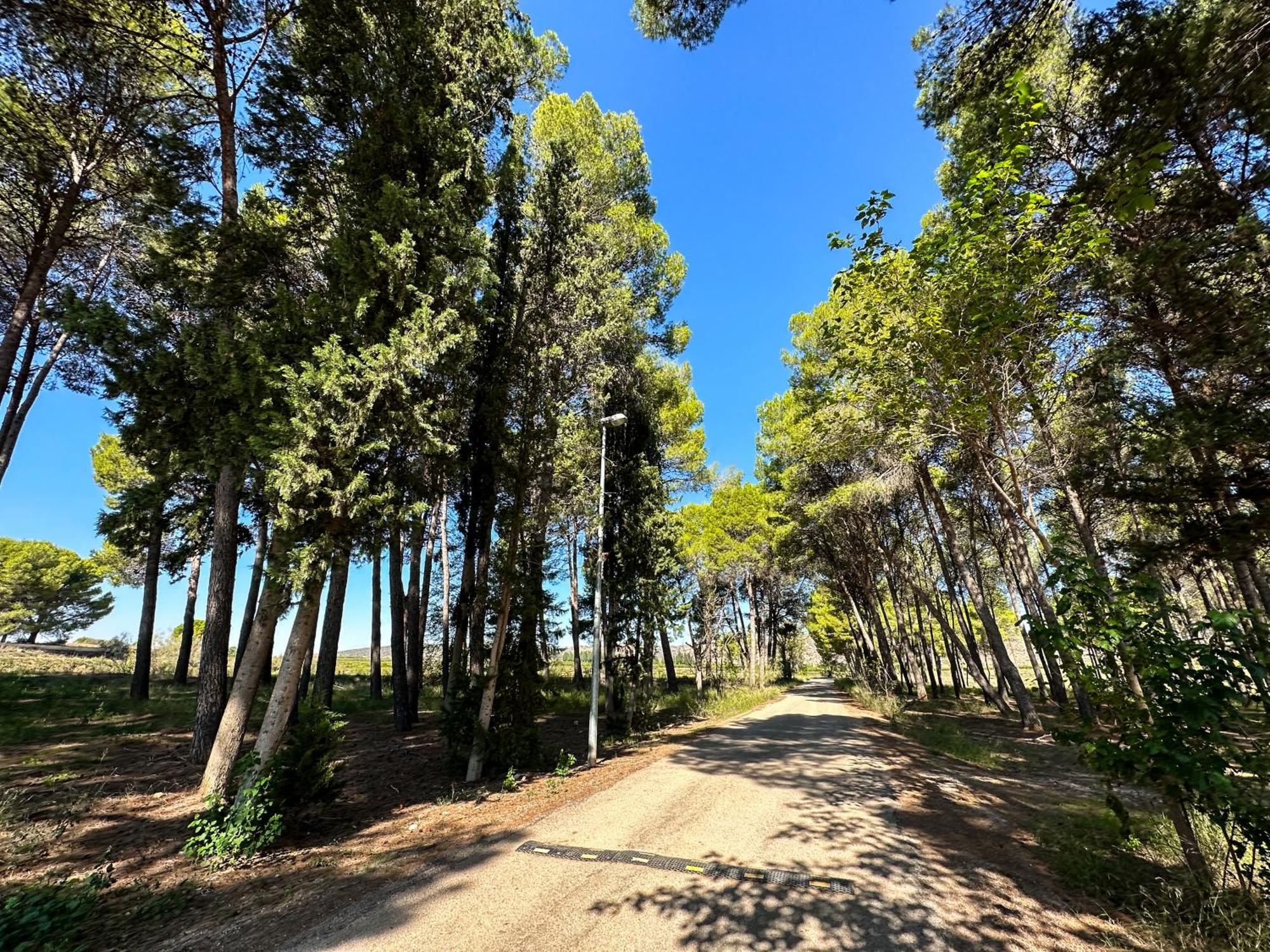 Casa Rural Los Pinos Valmuel Eksteriør billede