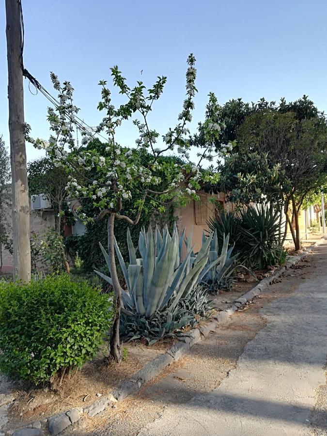 Casa Rural Los Pinos Valmuel Eksteriør billede